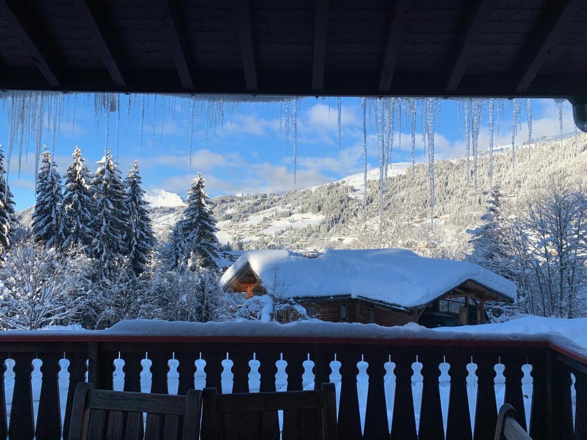 Chalet Le Renard Du Lac 莱热 外观 照片